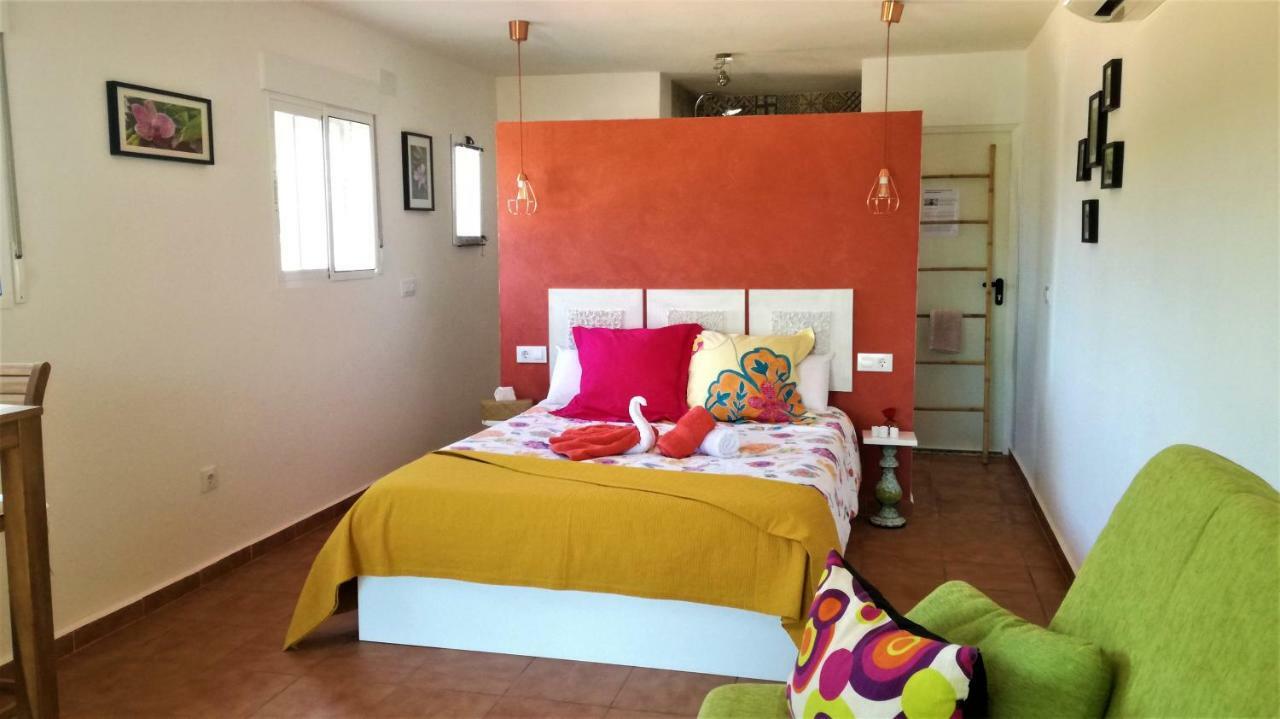 Casa Martinez Studios & Chambre D'Hotes A 3 Kms De Montserrat Valencia Montroy Bagian luar foto